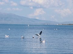 -青海湖国家重点风景名胜区