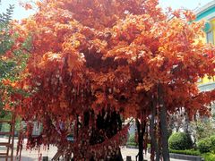 -济南方特东方神画