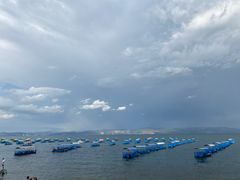 -抚仙湖禄充风景区