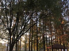 -宁波儿童公园(鄞州区)