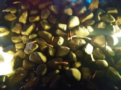 -新悦·霞浦海鲜生(上下杭店)