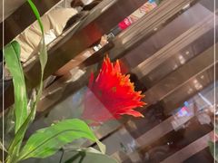 -北李妈妈菜·虾爬子大锅贴(贵和店)
