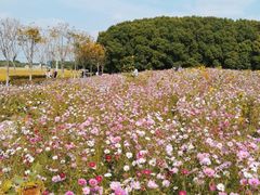-嘉北郊野公园