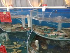 -叶存利海鲜大馅饺子(东戴河止锚湾店)