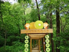 -大岭沟猕猴桃谷风景区