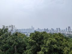 -赭山公园