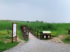 -西青郊野公园