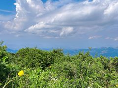 -灵山