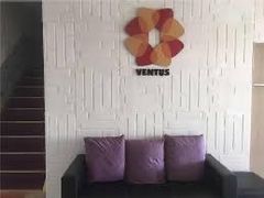 -ventus spa 沙巴亚庇正宗精油按摩会所