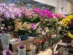 -双季花艺园艺市场(浦东店)