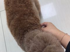 -全心全意连锁动物医院·微创中心·内科急重症·心脏专科(丰管路店)