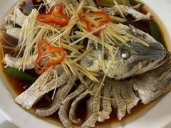 清蒸狗鱼-煲来饱去冷水鱼