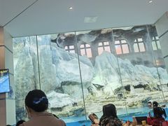 -帝企鹅自助餐厅•儿童岛•真企鹅(长隆企鹅酒店)