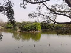 -江心屿景区