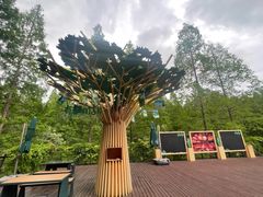 -黄海国家森林公园