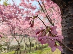 -福建鲤鱼洲酒店