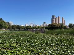 -天津水上公园