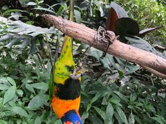 -南宫五洲植物乐园