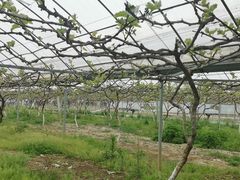 -江天生态园餐厅