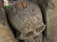 游乐设施-上海迪士尼度假区