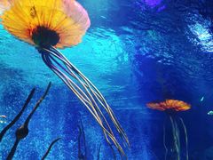 -沈阳海洋探索中心