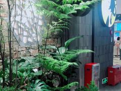 -茶理宜世(东方宝泰店)