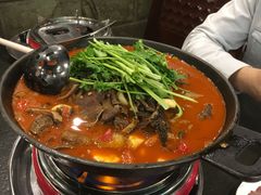 牛杂锅-湘肠香火锅店(团结湖店)