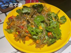 酸辣鱼皮-碌碌发·东南亚风味烧烤档(体育西店)