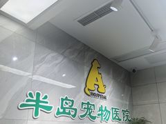 -半岛宠物医院24小时(白果林店)