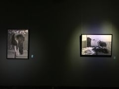 -湖北省美术院美术馆