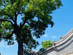 -保定直隶总督署博物馆