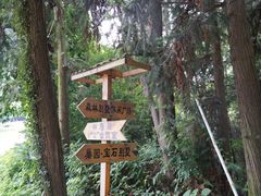 -象山森林公园