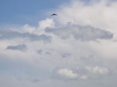 -新疆那拉提国家旅游度假区