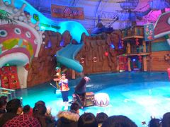 -烟台海昌鲸鲨海洋公园