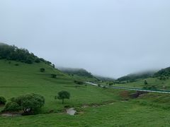 -关山草原
