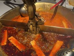 -小龙翻大江文化火锅(宽窄店)