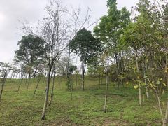 -聚龙山公园