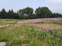 -济南国际园博园