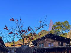 -林坑古村落