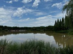 -宜兴龙背山森林公园