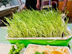鲜活豌豆苗-番食园鲜食火锅(高新店)