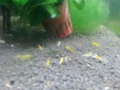 android_upload_pic-上海大自然野生昆虫馆