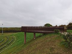 -西京湾花海