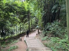 -凤栖山