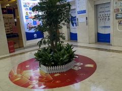 -圣呗口腔·舒适化种植牙·矫正中心(广州总院)