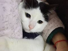 -盖邑扁食店