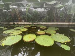 -国家植物园南园