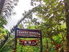 -呀诺达热带雨林