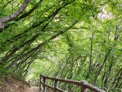 -黑龙潭风景区