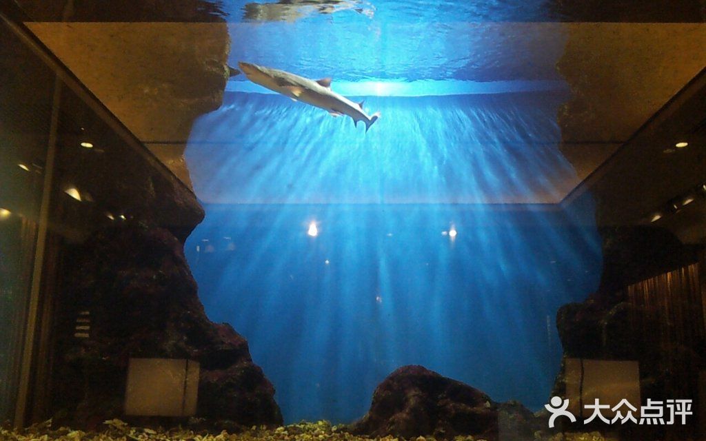 东京和食 Sun with AQUA门面图片